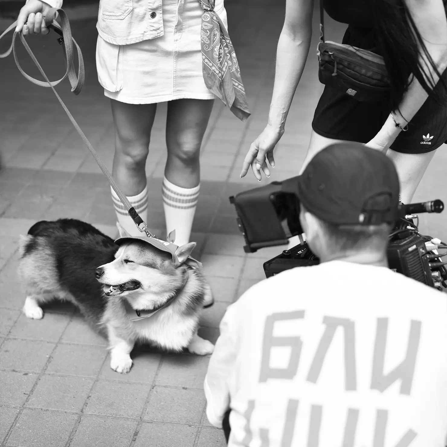 Untitled-22