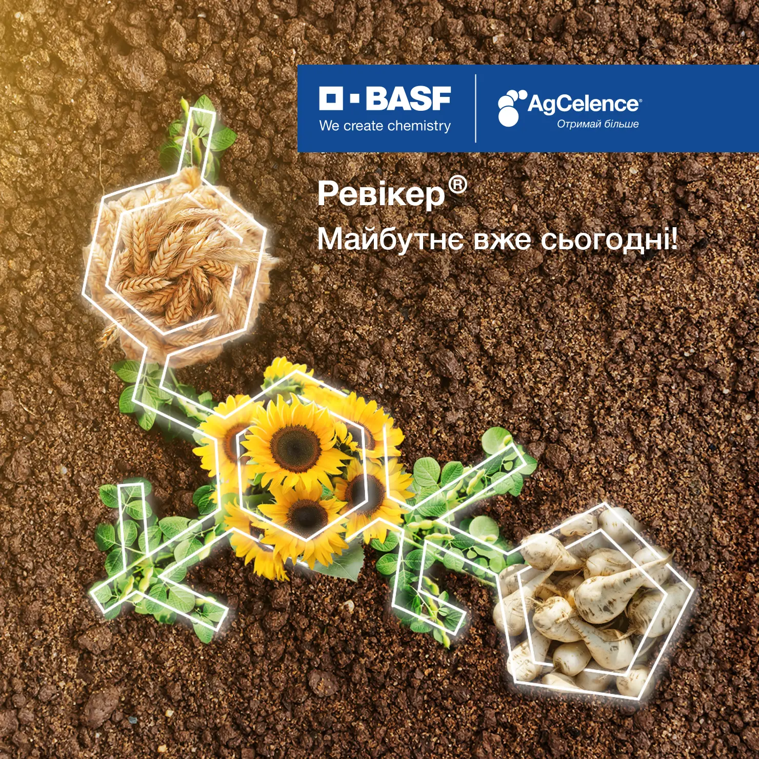 basf_revycare_02